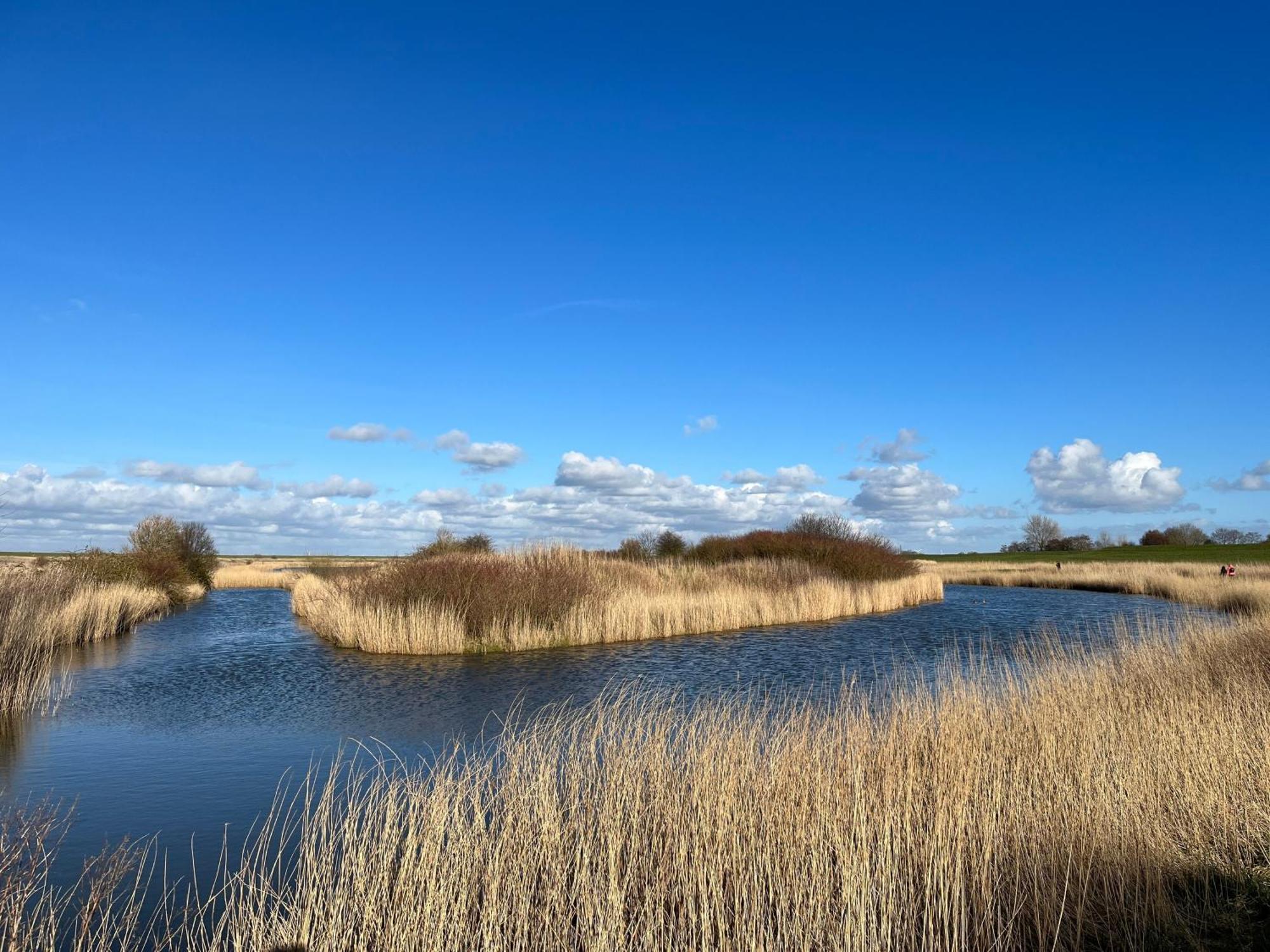 Leybuchthus Lägenhet Greetsiel Exteriör bild